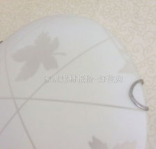 【凌志吸頂燈_臥室吸頂燈8045/2_圓形_&phi;300mm_東南亞風格_白底帶圖案玻璃】_價格報價_實拍圖片_參數(shù)-好住網(wǎng)