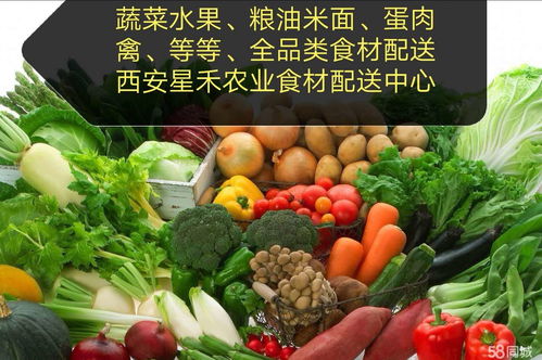 食堂送菜配送蔬菜公司 為餐飲行業提供高效、新鮮的蔬菜供應