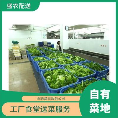 羅陽(yáng)鎮(zhèn)飯?zhí)檬巢呐渌头?wù)公司 農(nóng)副產(chǎn)品配送與大型批發(fā)市場(chǎng)的平價(jià)送菜服務(wù)